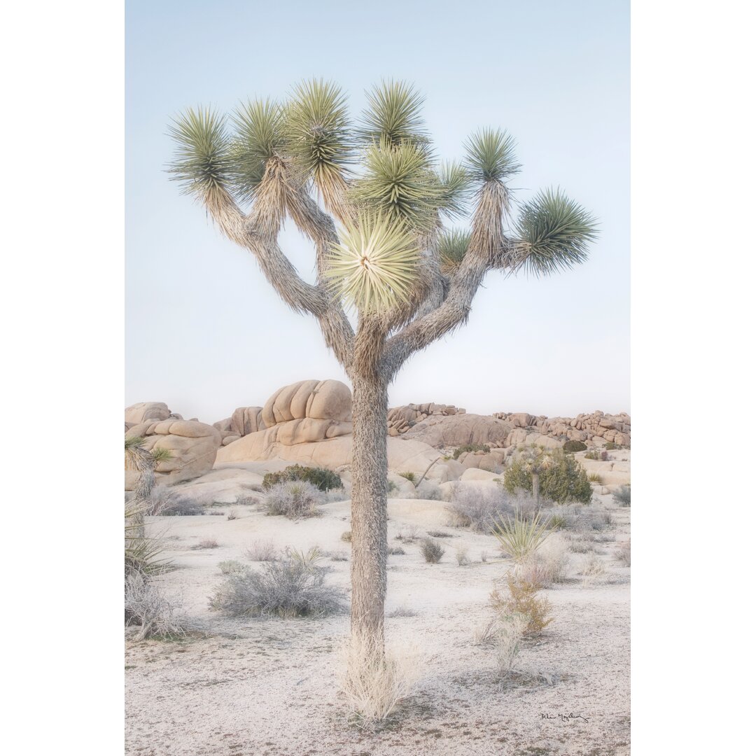 Leinwandbild Joshua Tree National Park II von Alan Majchrowicz