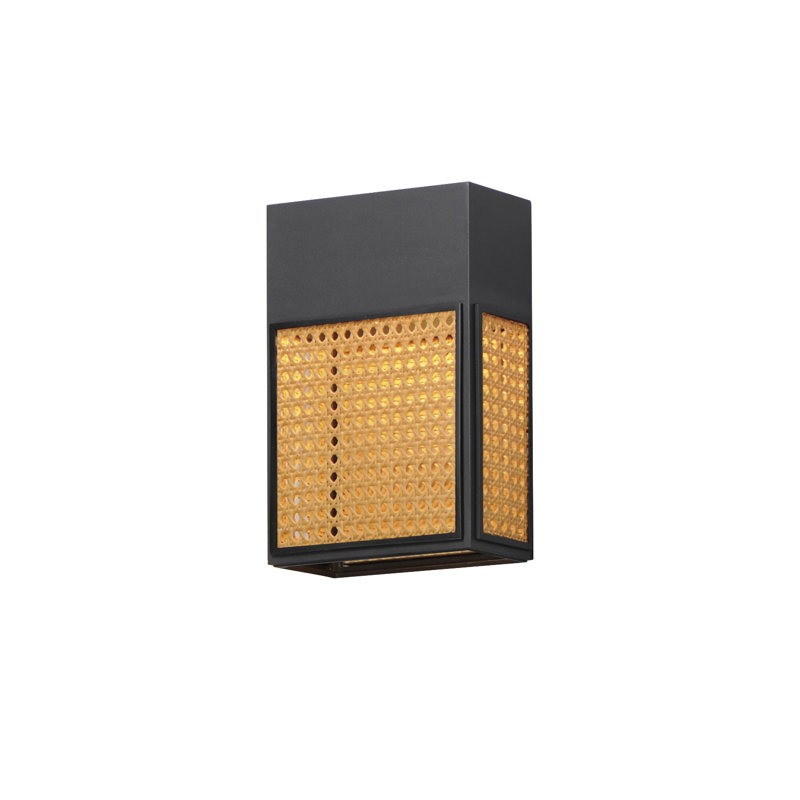 Achsa Aluminum LED Wall Light, 12" H x 8' W x 4.75" D, Black/Yellow