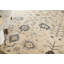 Tapis ivoire et floral transitionnel Springfield-552762313