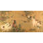 Spring Play in a Tang Garden 1 Piece Wrapped Canvas Wall Art-190122358