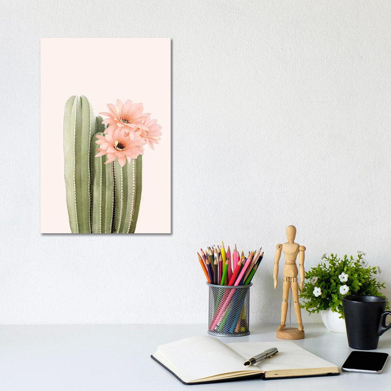 Cactus Flowers by Sisi & Seb - Gallery-Wrapped Canvas Giclée on Canvas, Canvas, 20.32 cm H x 30.48 cm W