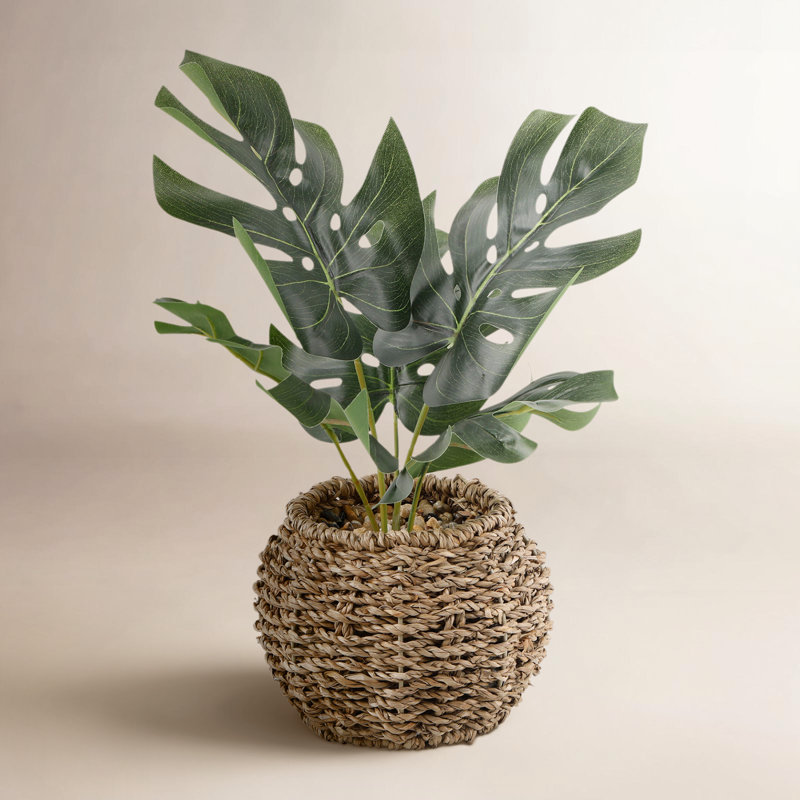 Julieta 12.25 " H Faux Philodendron Plant