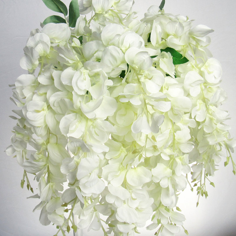 Tige de glycine suspendue, Crème