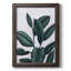 Verdic Ficus I, toile encadrée de qualité supérieure - prête à être accrochée-970887959