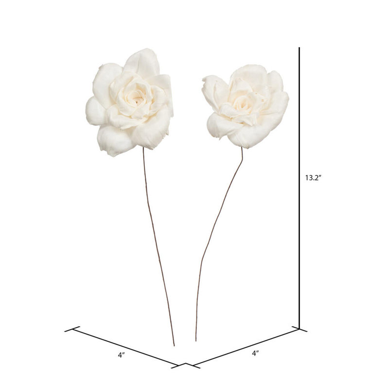 4'' Plant