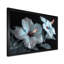 Hibiscus blanc et rose transparent - art mural hibiscus-1236775489-1207215265