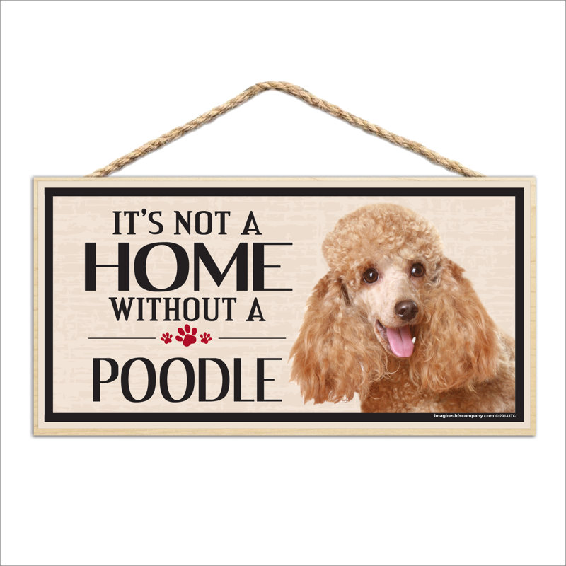 «It's Not a Home sans notre caniche»