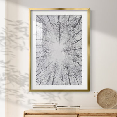 Deciduous Canopy I -Framed Print
