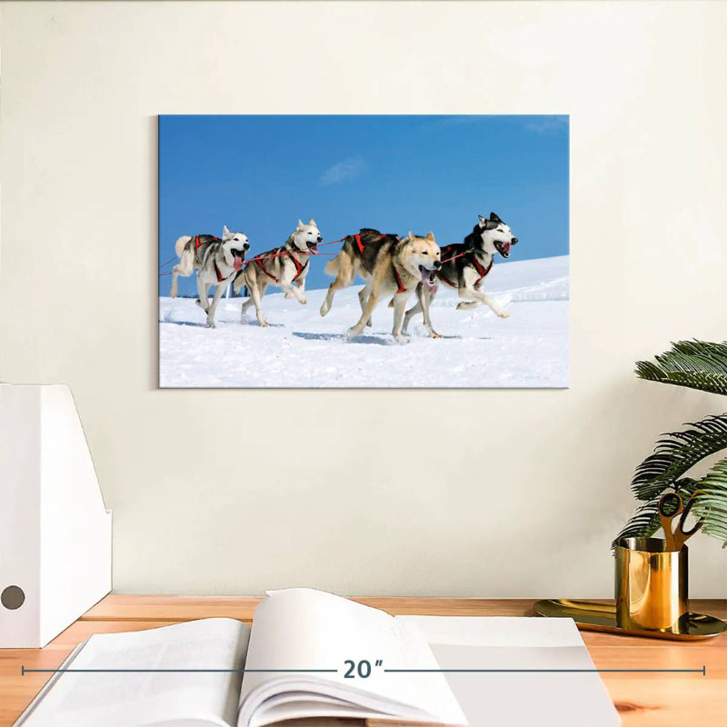 Chiens de traîneau Husky, H 8 po x l 12 po