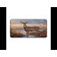 Polyester Desk Pad-1627964208