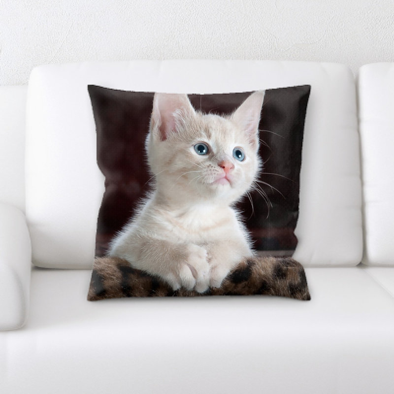 Coussin kitty