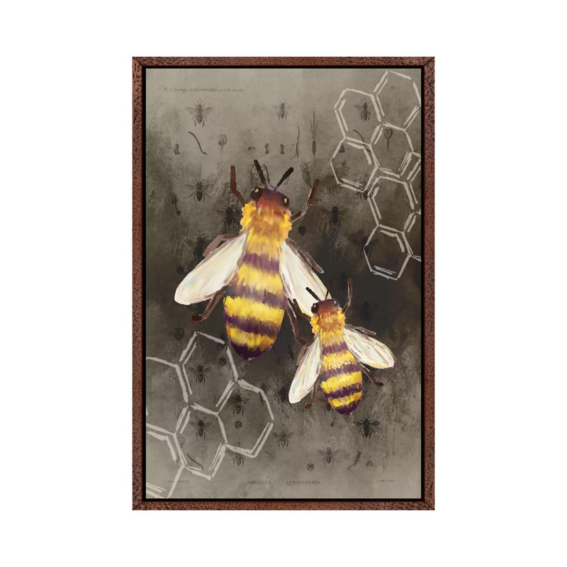 Bee Charmer II 1 Piece Wall Art on Canvas, 66.04cm H x 45.72cm W x 3.81cm D, Classic Brown Wood Framed