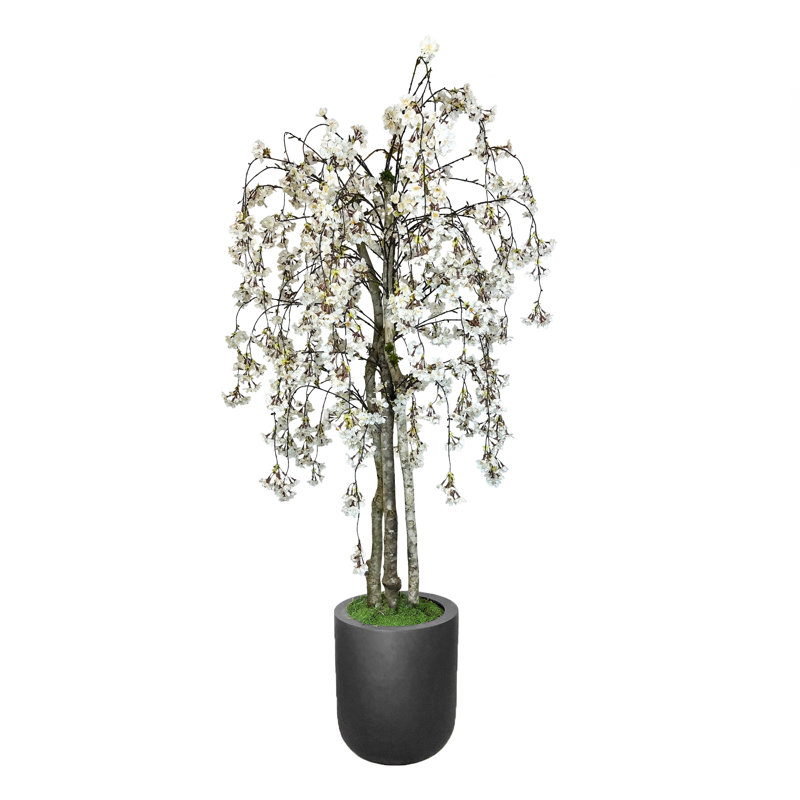 Faux Cherry Blossom Tree in Fiberstone Planter, 72" H x 34" W x 11.50" D