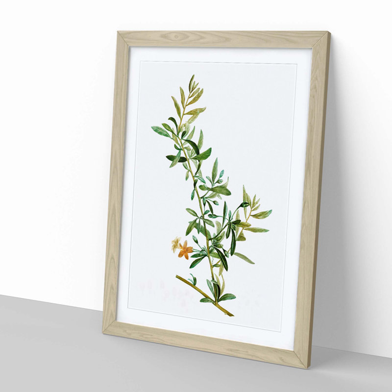 Goji Berry Tree by Pierre-Joseph Redoute - Picture Frame Painting Print, 48cm H x 36cm W x 2cm D, Oak Framed