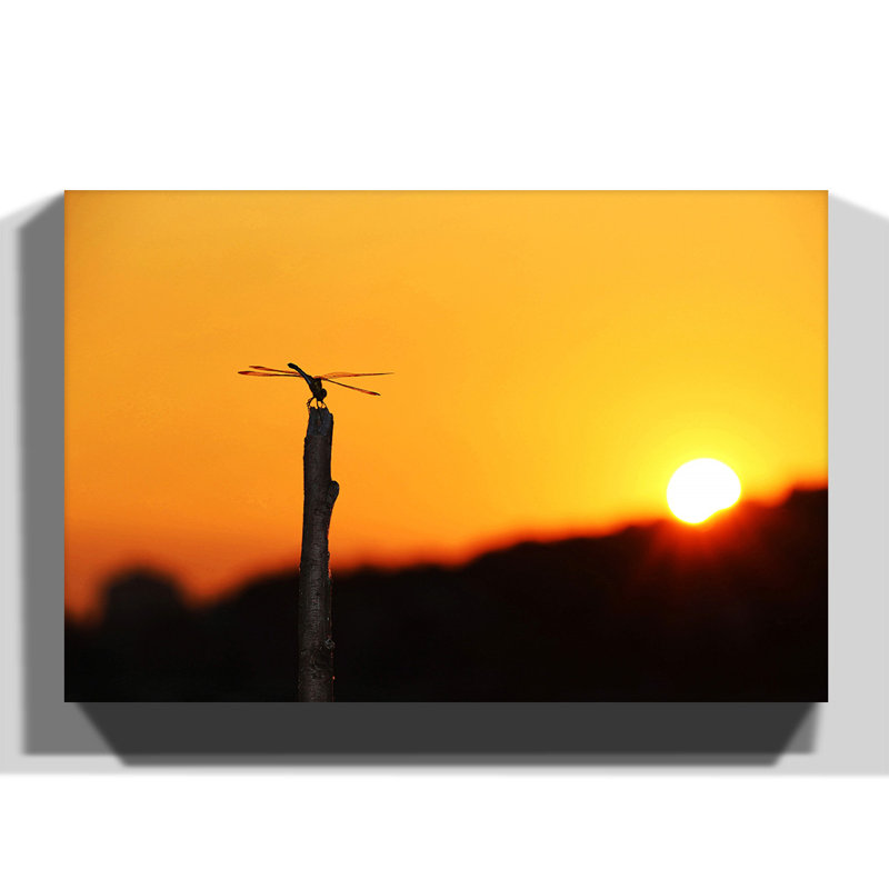 Photographic - Wrapped Canvas, 70cm H x 100cm W