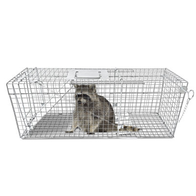 Large Collapsible Humane Live Animal Cage Trap for Raccoon, Opossum, Stray Cat, Rabbit, Groundhog and Armadillo - 32" x 10" x 12"