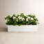 Kalanchoe Arrangement in Fiberstone Planter-1624349388-1646607056