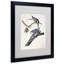 Passager Pigeon par John James Audubon - reproduction d'art sur toile-371118088-394405704