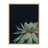 Macri Succulent 8 by Emiko and Mark Franzen of F2Images Print on Canvas-71255317-71255316