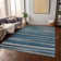  Machine Washable Indoor/Outdoor Chantille ACN997 Gray Area Rug