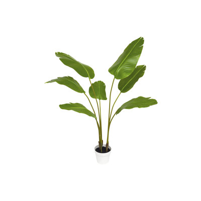 Algreen 55" Faux Paradise Palm in White Decorative Planter