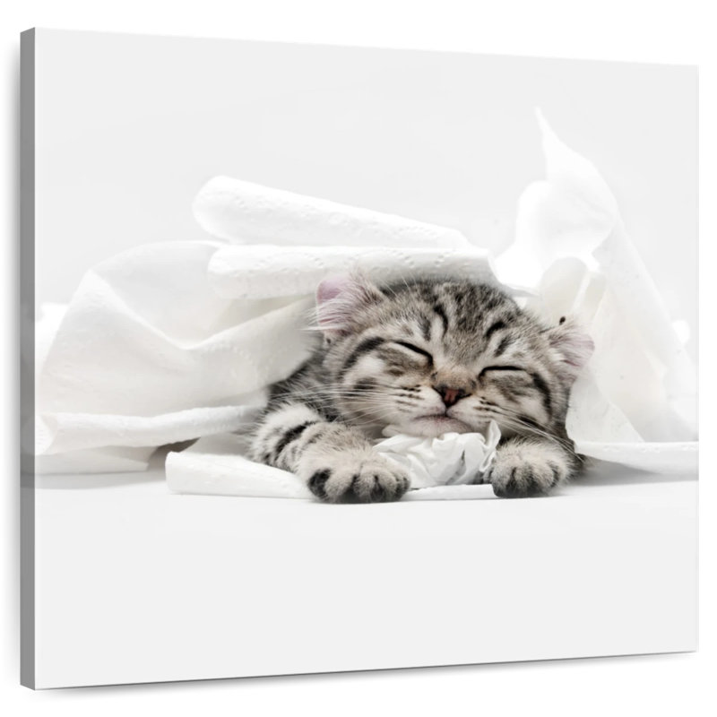 Crowle Cozy Lynx Cat, H 16 po x l 16 po