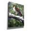 «Red Tailed Hawk» par William Vanderdasson-101511392