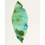 Plants IX Print by Hable Construction-26774291-26774294
