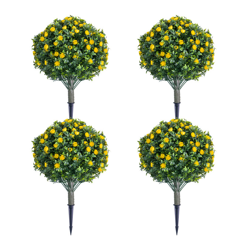 60cm Plant