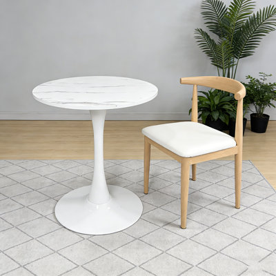 24 Inch Modern Tulip Round Kitchen Dining Table, MDF Top & Steel Base, Mid-Century Coffee Table For Small Living Room & Kitchen