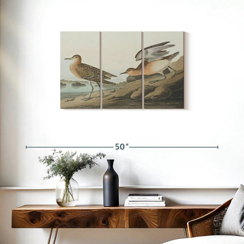 Brampt Buff Breasted Sandpiper, 20" H x 33" W