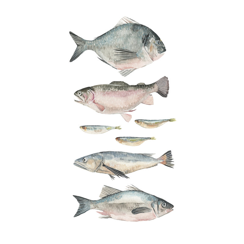 Composition du poisson II, H 12 po x l 8 po x P 1 po