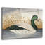 Art mural en verre acrylique August Grove® «Magpie Goose» par David Carter-1046802328