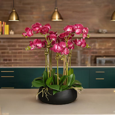 Orchid Floral Arrangement in Planter
