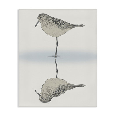«Tranquil Sandpiper Bird Reflection» par Ziwei Li