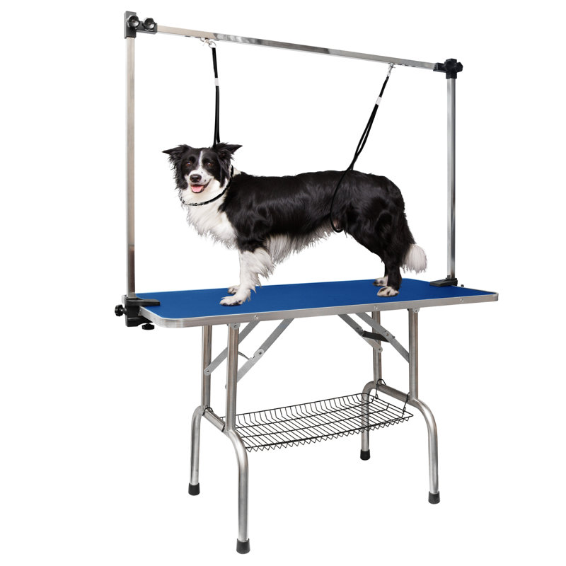 Tables de toilettage ajustables, Bleu, H 64 po x l 42 po x P 24 po