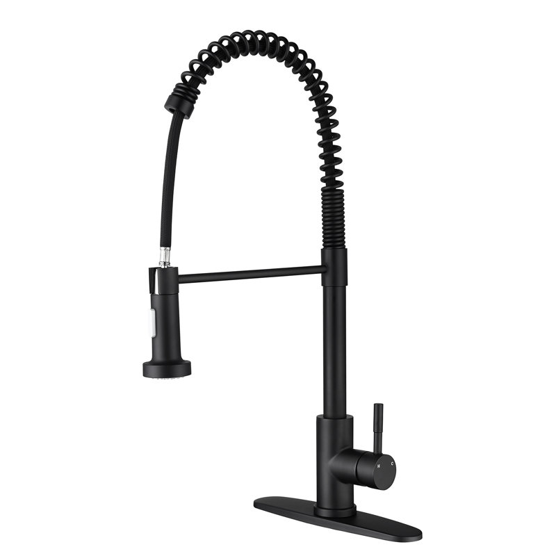 Robinet de cuisine avec douchette extractible, acier inoxydable en noir mat, buse rotative à 360 ° pour une expérience optimale de l'eau, traitement contre la rouille et la corrosion, robinet de pulvérisation à poignée simple, noir