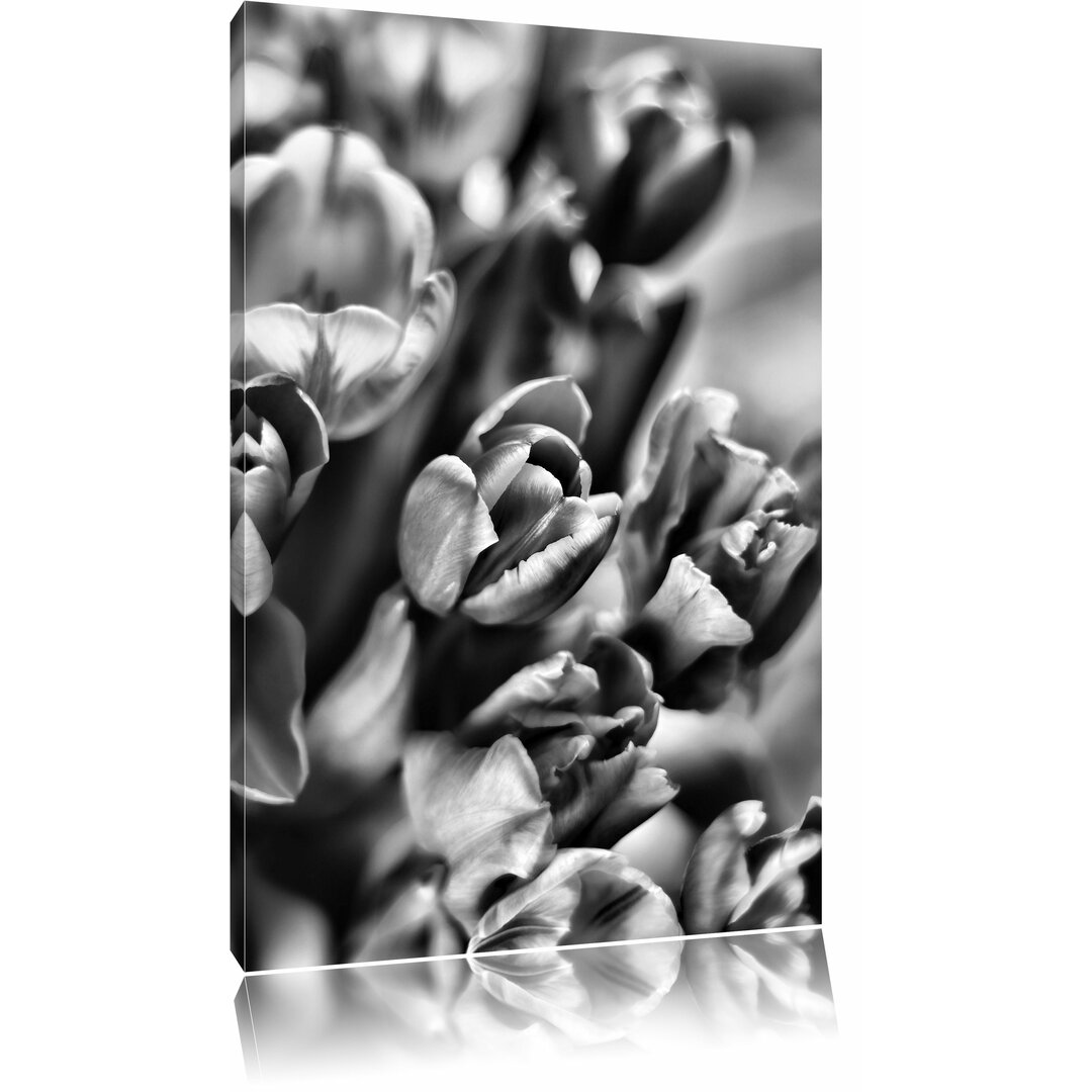 Leinwandbild Wunderbarer Tulpenstrauß in Monochrom