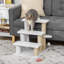 Pet with 3Step for Cats-121575295