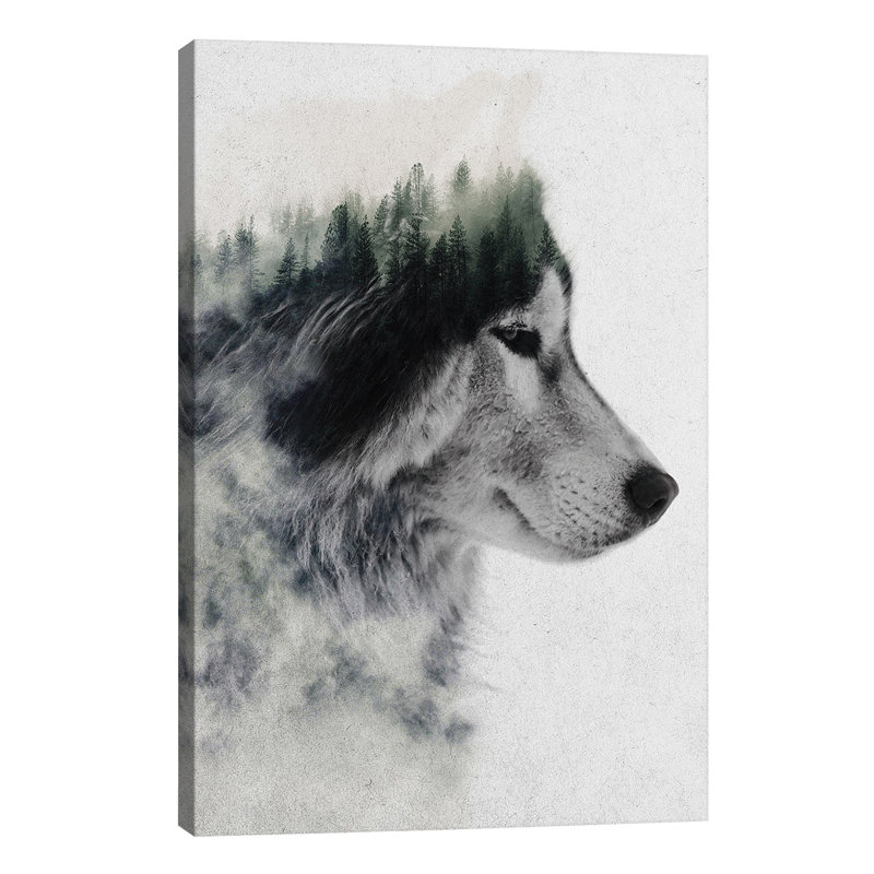 Wolf Stare by Andreas Lie - Print on Canvas, No Frame, 152.5 cm H x 101.5 cm W x 3.175 cm D