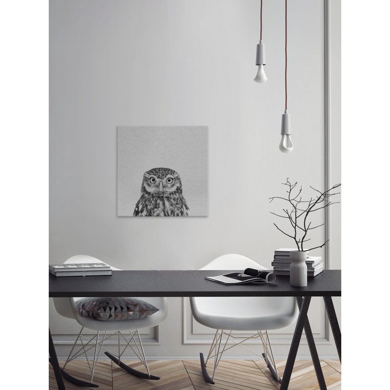 «Black and White Owl», reproduction sur toile, H 12 po x l 12 po x P 1,5 po
