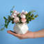 Arrangement floral Capps Hydrangea en pot