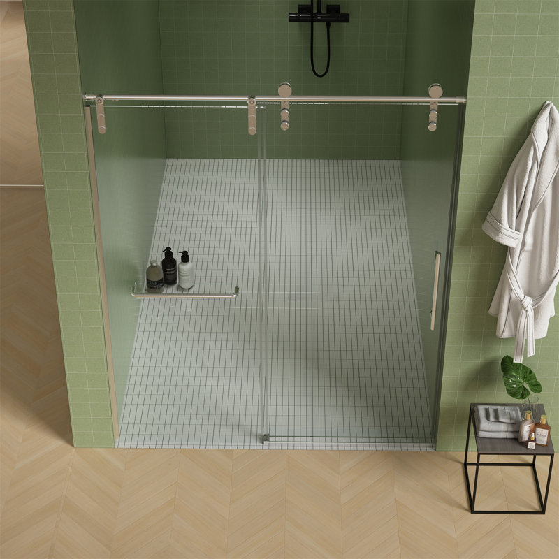 Frameless Shower Door