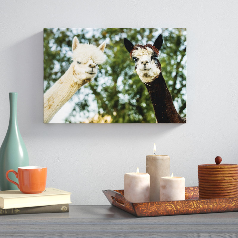 Alpaca Portrait III by Tyler Stockton - Wrapped Canvas Photograph, 30cm H x 46cm W, Wrapped Canvas