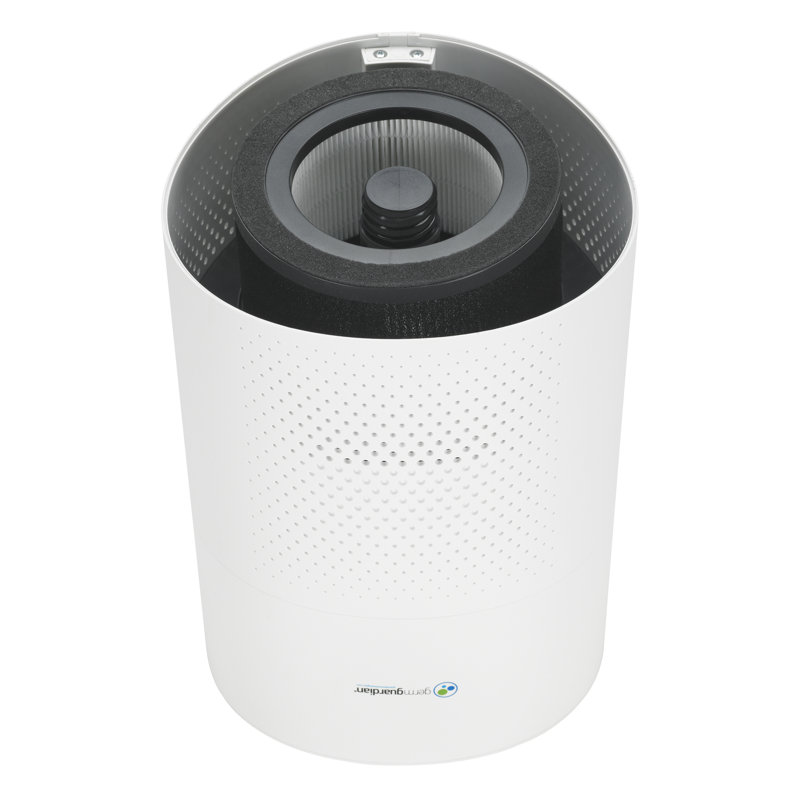 Allergène avec filtre HEPA