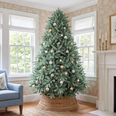 Blue Spruce Christmas Tree