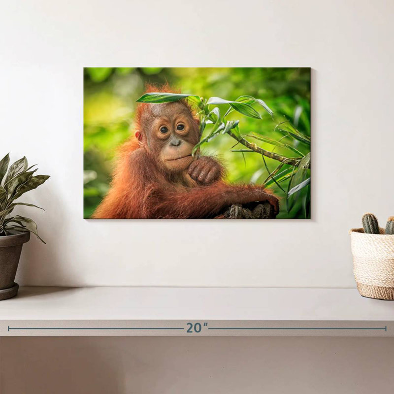 Leaf Munching Orangutan, 8" H x 12" W