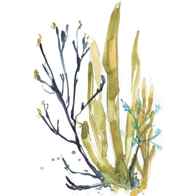 " Reef Illusion I " by Jennifer Goldberger Painting Print