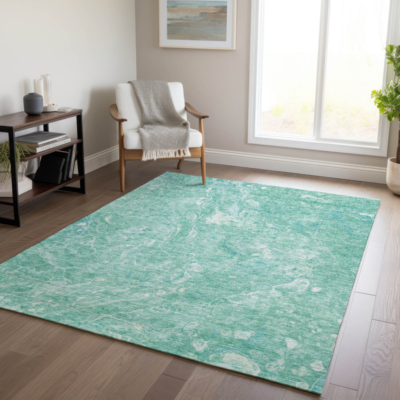 Radric Washable Indoor / Outdoor Rug, Rectangle 8' x 10'