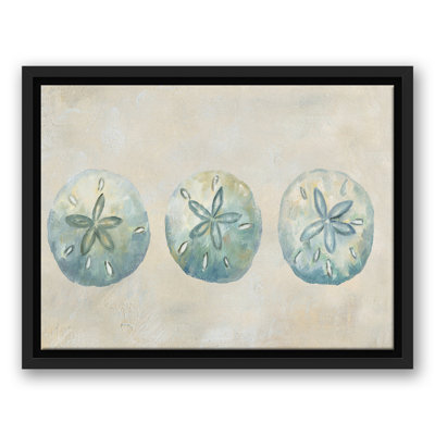 Sand Dollars